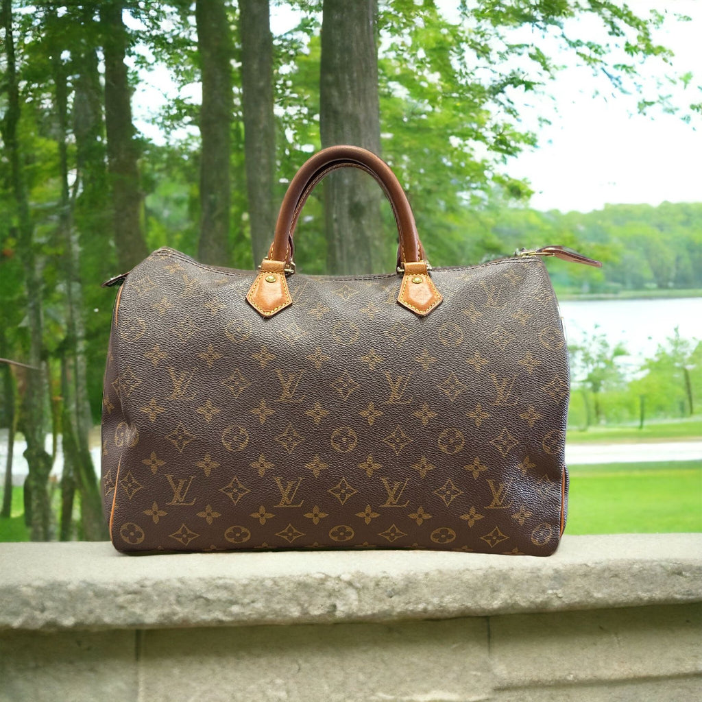 Louis Vuitton Brown Monogram Canvas Speedy Bag  Second Main  Occasion   Vintega