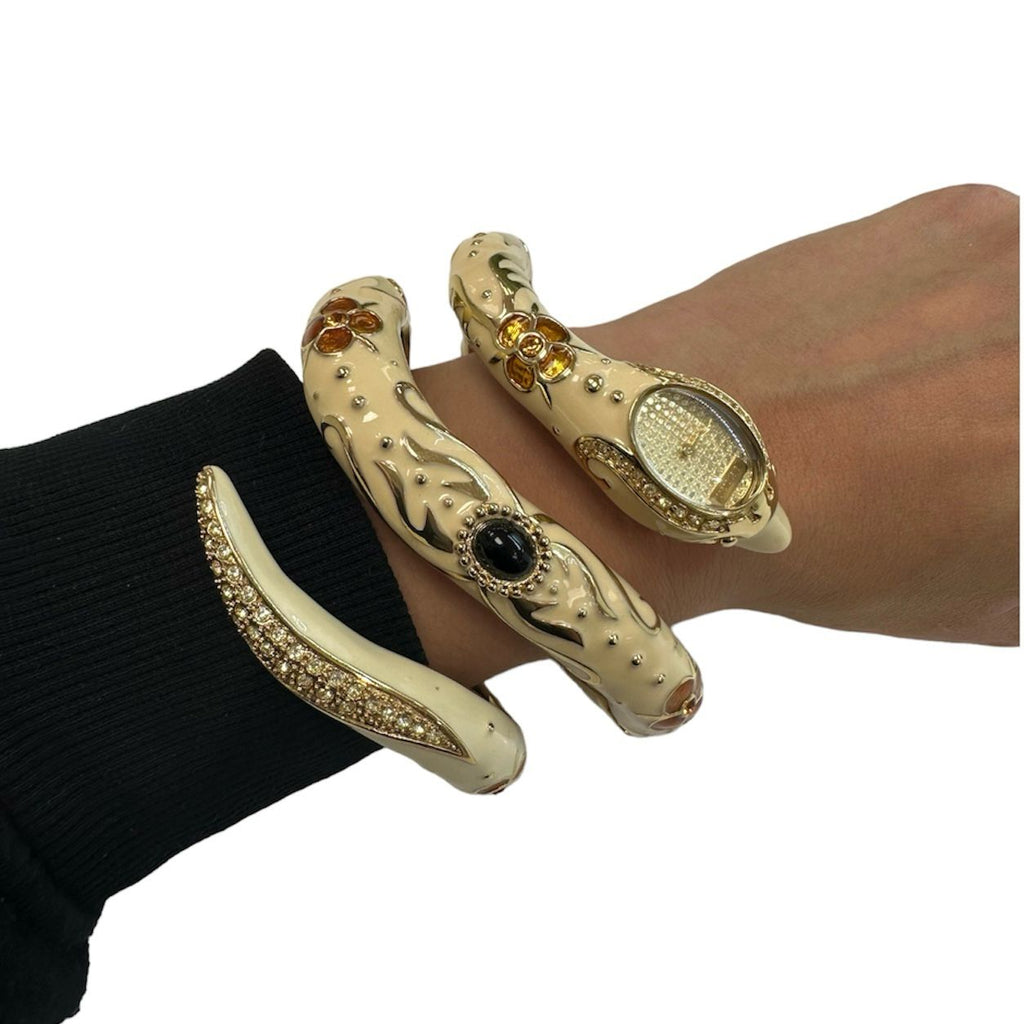 Montre Roberto Cavali R7253 Quartz