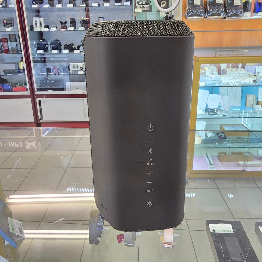 Enceinte Sony XE300