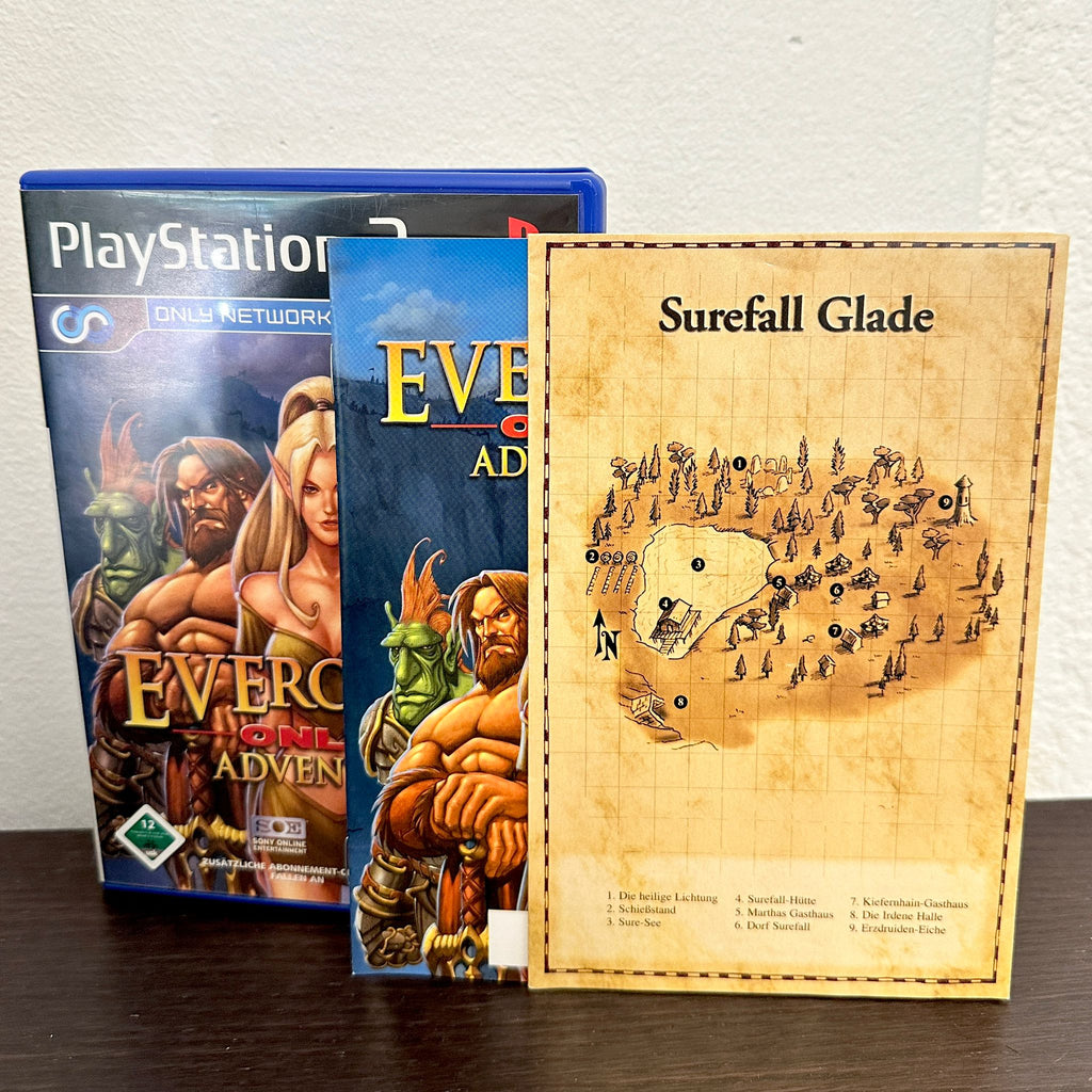 JEU PS2 EVERQUEST + Notice